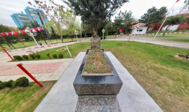 Alparslan Türkeş Kabri