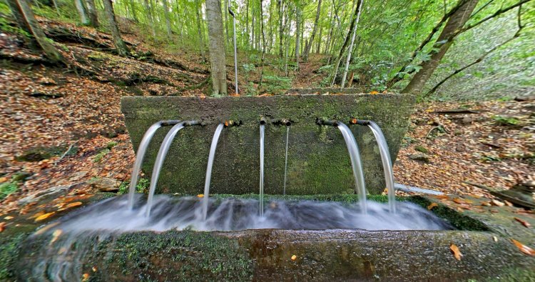 Yedigöller Milli Parkı