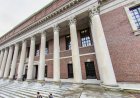 Harvard Üniversitesi