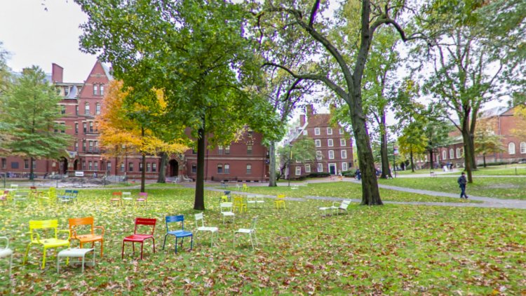 Harvard Üniversitesi